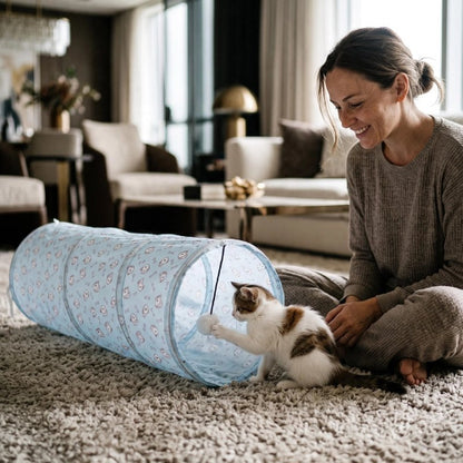 tunnel chat souple maitresse chat jouant