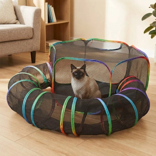 tunnel pour chat aire jeux chat assis salon
