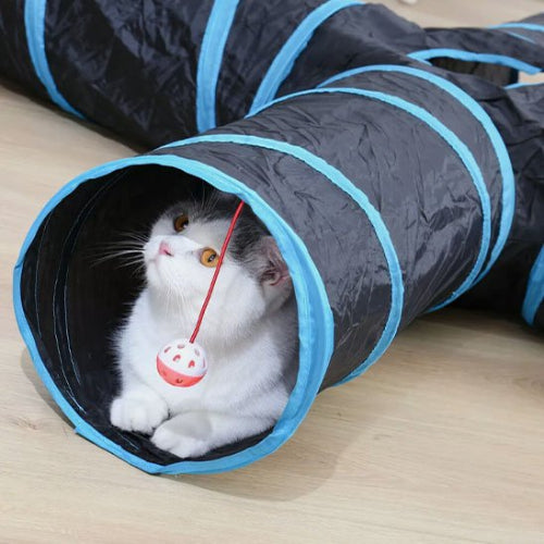 tunnel pour chat bandes bleues chat allonge