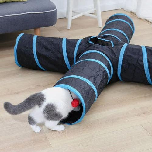 tunnel pour chat bandes bleues chat entrant