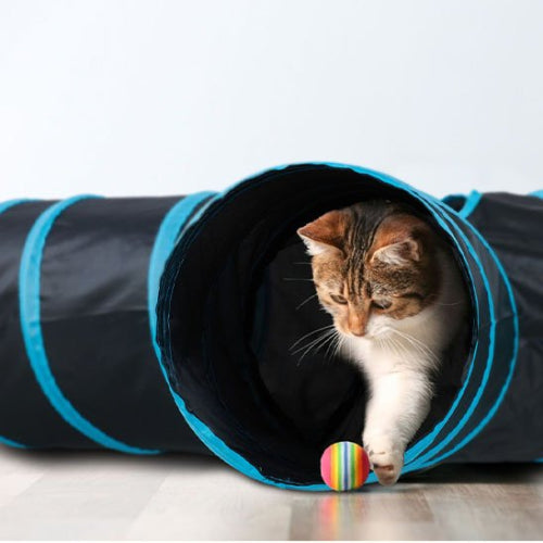 tunnel pour chat bandes bleues chat jouant