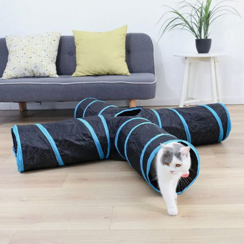 tunnel pour chat bandes bleues chat sortant