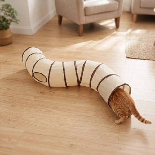 tunnel pour chat beige chat entrant