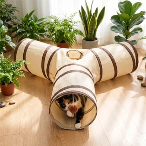 tunnel pour chat beige chat jouant salon