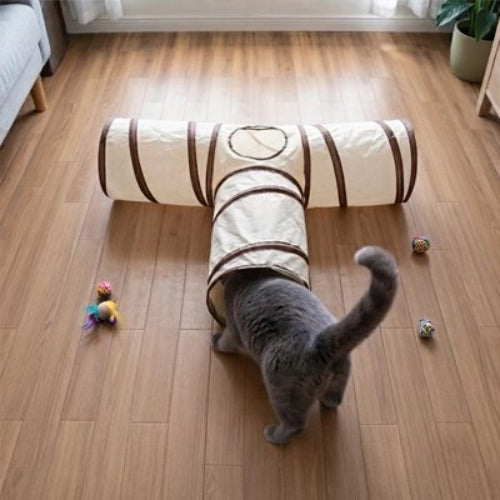 tunnel pour chat beige chat rentrant