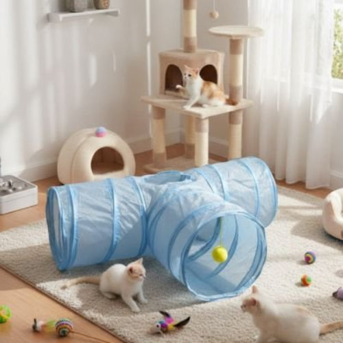 tunnel pour chat en t avec chatons