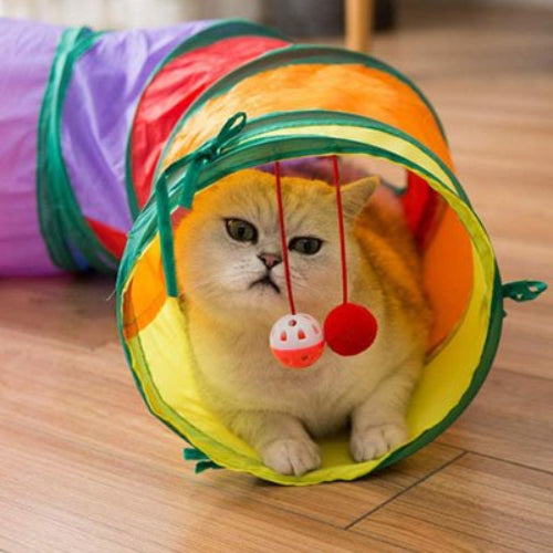 tunnel pour chat multicolore chat allonge