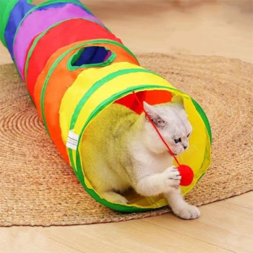 tunnel pour chat multicolore chat jouant