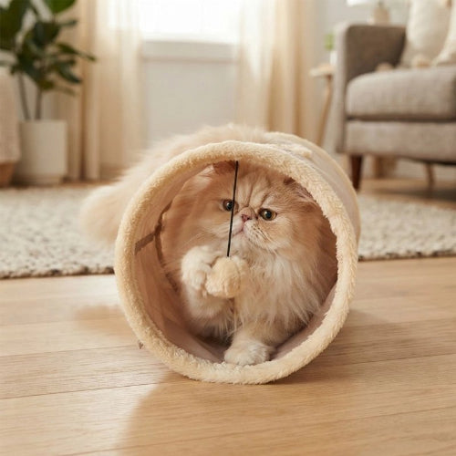 tunnel pour chat peluche beige chat jouant