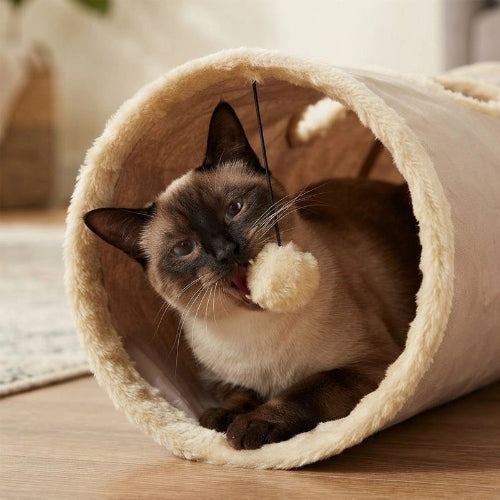 tunnel pour chat peluche beige chat mordant